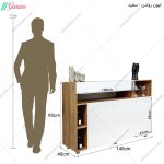 میز کنسول C100