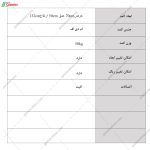 کمد لباس دیبا