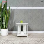 پاتختی رایکا