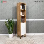 کتابخانه الینا