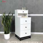 دراور آنیسا