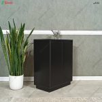 مدل جاکفشی، جاکفشی سپند