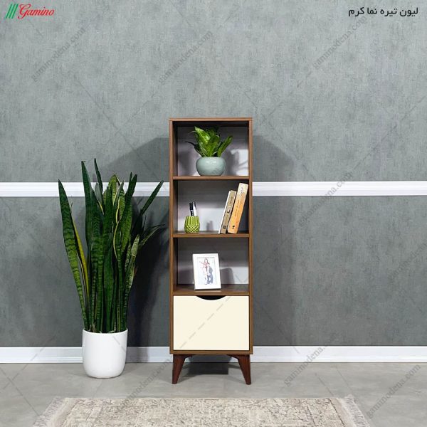 کتابخانه میرا