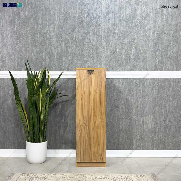 جاکفشی جدید، جاکفشی لاکچری، جاکفشی آینه دار جدید جا کفشی کم جا، جاکفشی پدیده