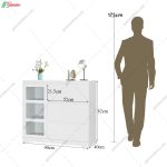 دراور بردیا