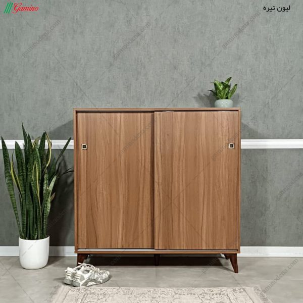 جاکفشی چوبی، جاکفشی ساحل