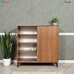 جاکفشی چوبی، جاکفشی ساحل