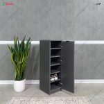 جا کفشی کم جا، جاکفشی پدیده