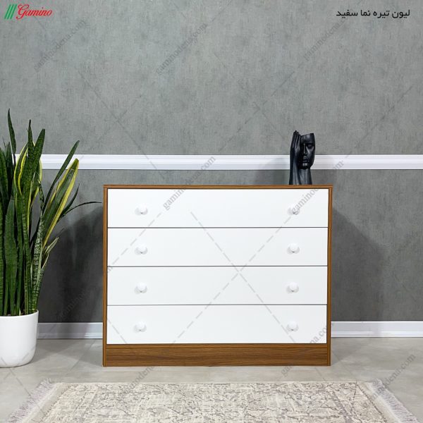 دراور آتوسا