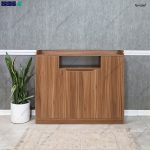 جاکفشی کنسولی روشنا