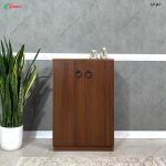 جاکفشی ورودی آپارتمان، جاکفشی روژان