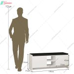 جاکفشی نشیمن دار تارین