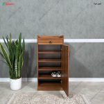 جاکفشی لیانا