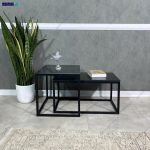 میز جلو مبلی آنیسا