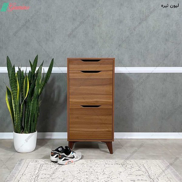 جاکفشی ساده ارزان، جاکفشی گلدیس