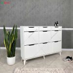 جاکفشی داشبوردی سفید، جاکفشی آلوا (3+6)