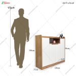 جاکفشی کنسولی روشنا