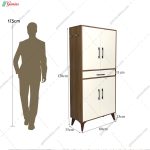 جاکفشی شاینا