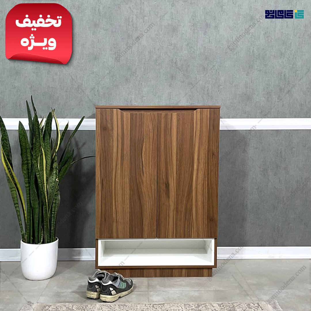 جاکفشی یزدان لون تیره