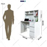 ست میز تحریر و کتابخانه ایکیا سروین