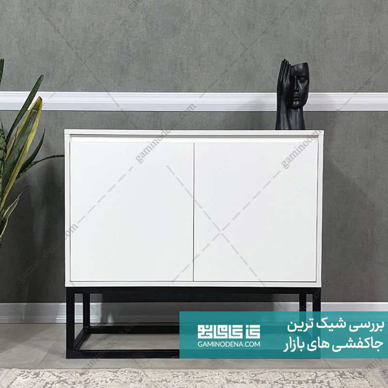 شیک ترین و خاص ترین جا کفشی های بازار + عکس و ودیو گامی نو