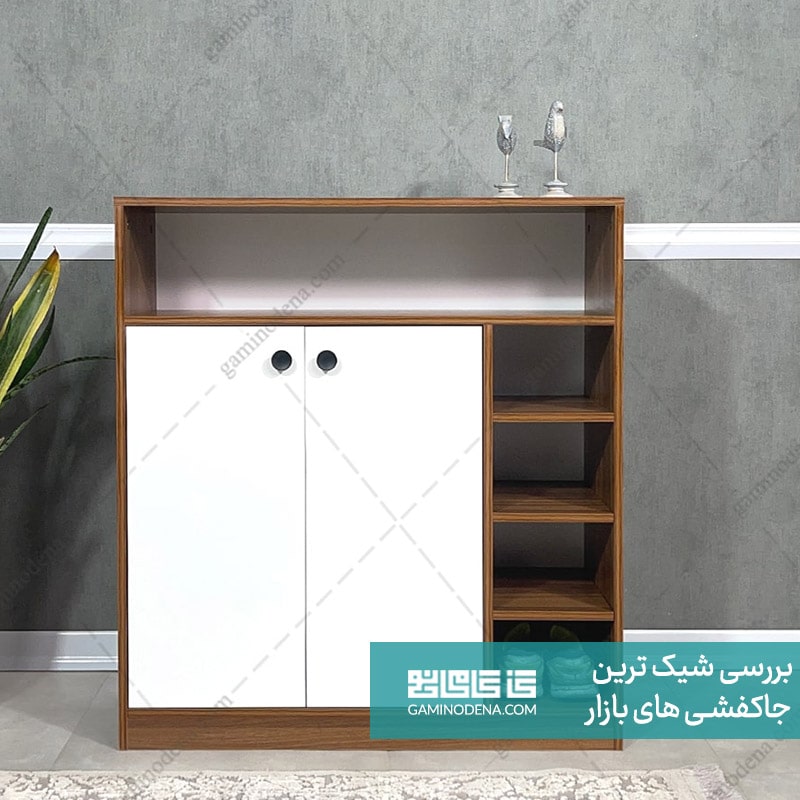 شیک ترین و خاص ترین جا کفشی های بازار + عکس و ودیو گامی نو